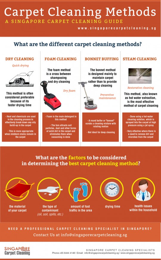 carpet_cleaning_sacramento_infographic